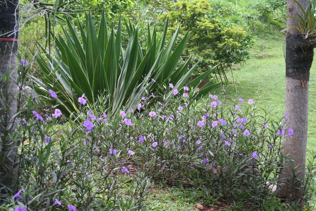 Baan Til Dao Pround Fah Holiday home