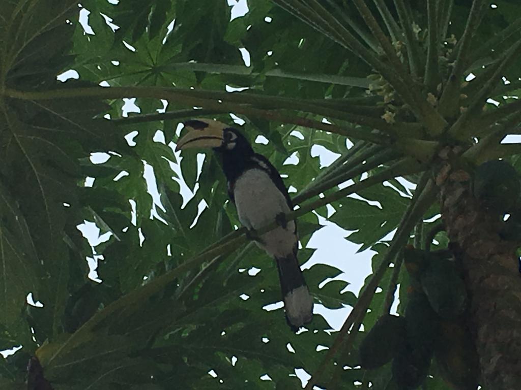 Koh Ngai Resort Resort