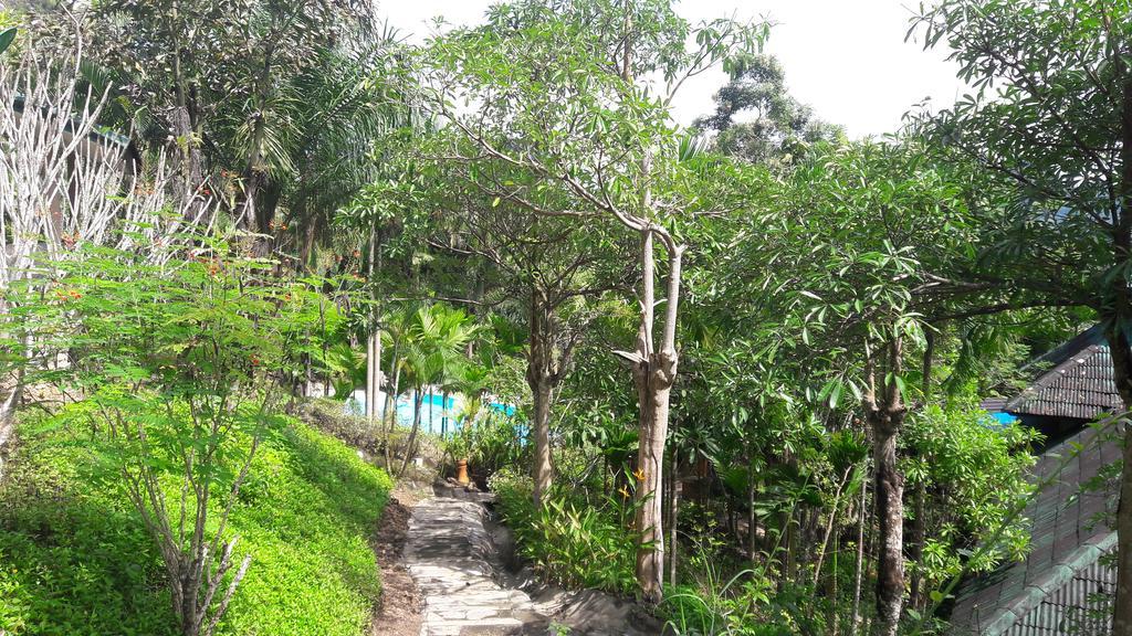 Resort Aonang Cliff Mountain New 2*