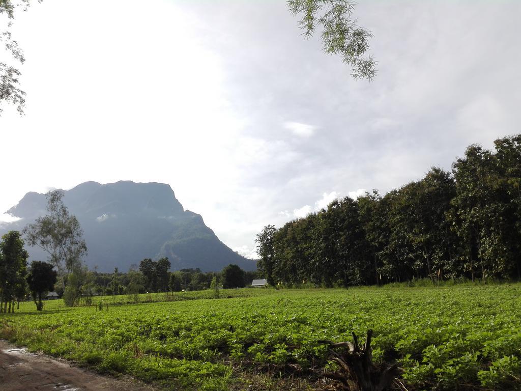 Dreamhome Chiangdao * Chiang Dao