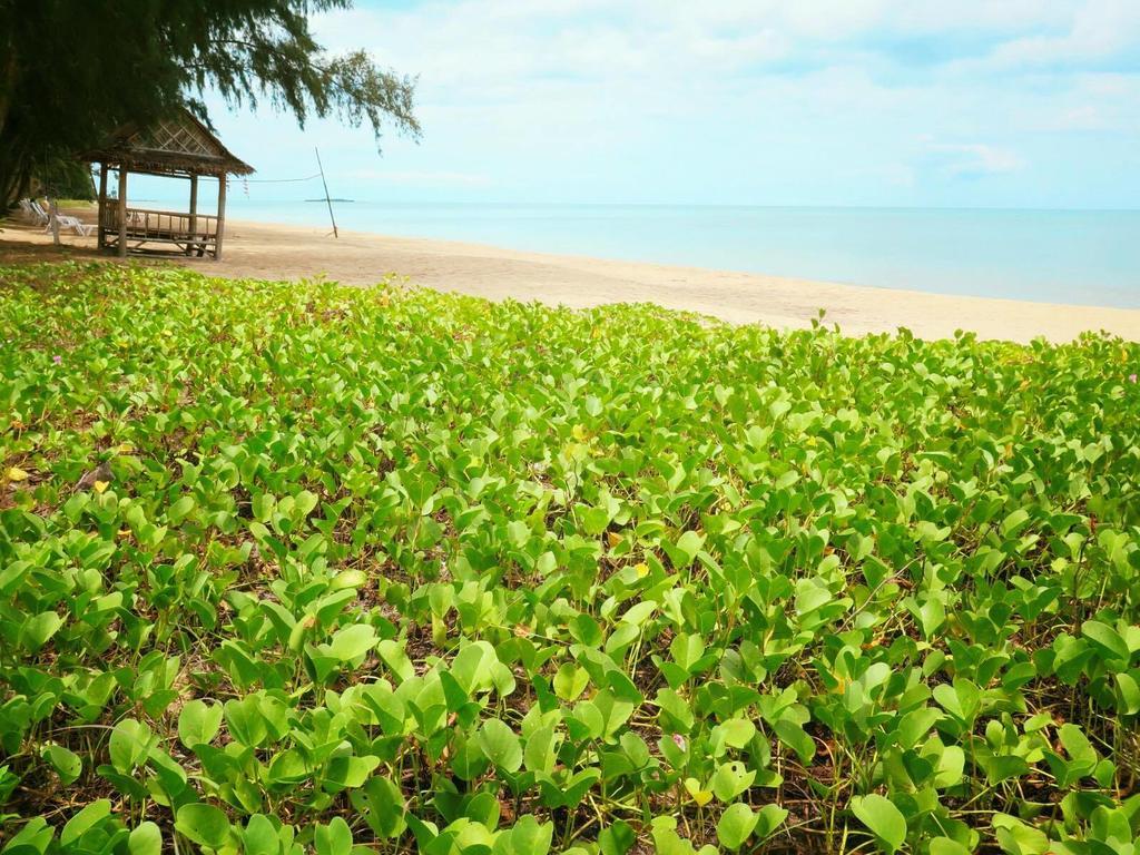 Resort Bayview 3*