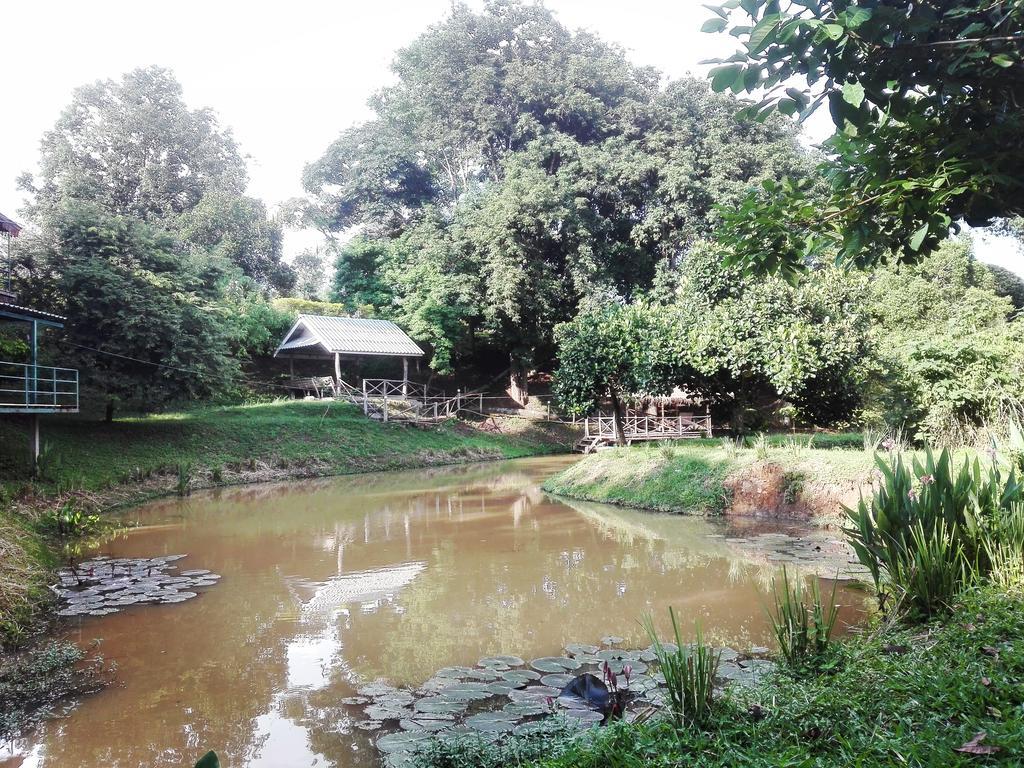 Homestay Dreamhome Chiangdao Chiang Dao