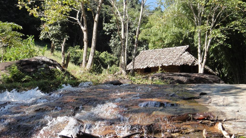 The Natural Healing Retreat 3*