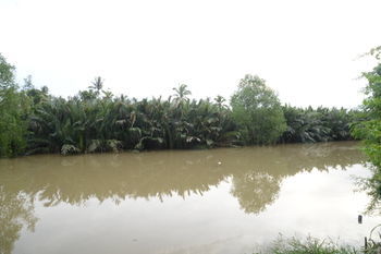 Sucholtee Resort 3*