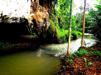Hotel Khao Sok Silver Cliff 2*