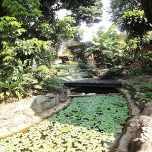 Resort Areeya Phuree Thaton 3*