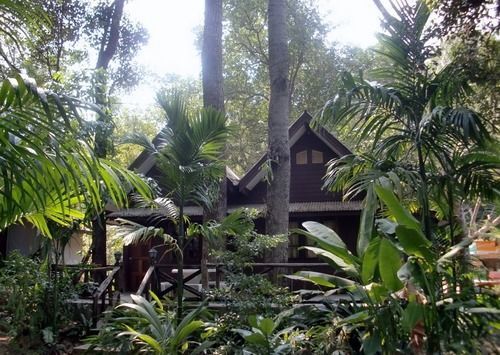 Resort Jungle Bay