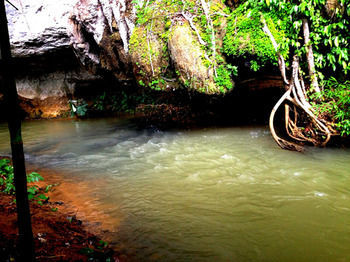 Hotel Khao Sok Silver Cliff 2*