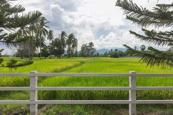 Cha-am Country Ban Nong Khang