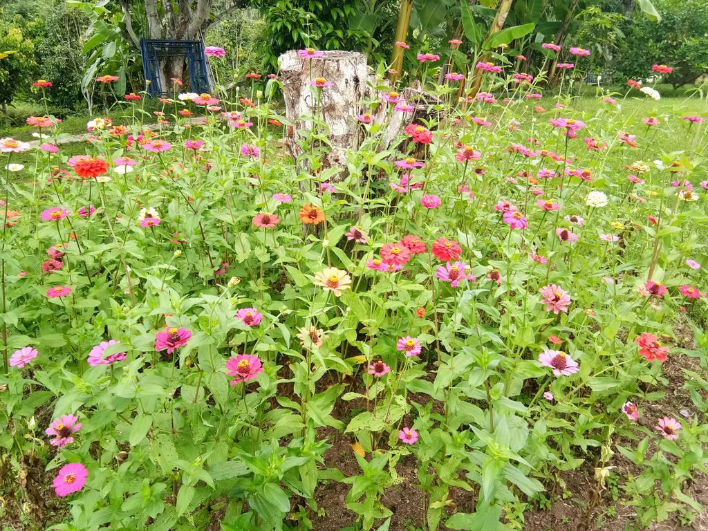 Guest house Ban Suan Sukjai