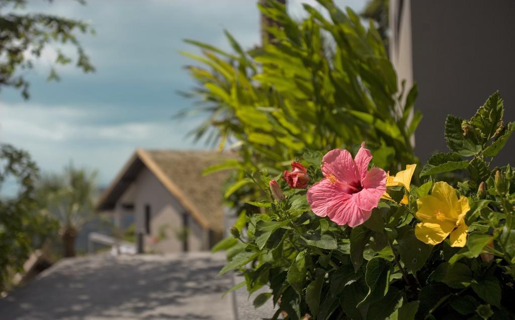 Serene Retreat And Taling Ngam (Koh Samui)