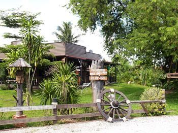 Cowboy Farm Pattaya
