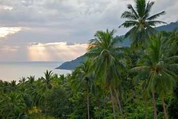 Hotel Nirvana Detox Healing Center