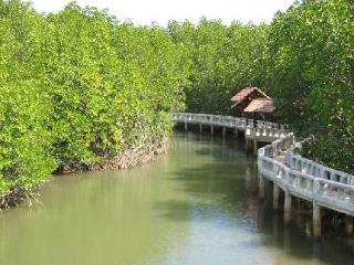 Island View Resort
