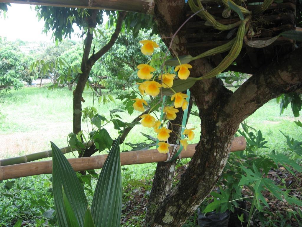 Ban Suan Mai Ngam Guest house 3*