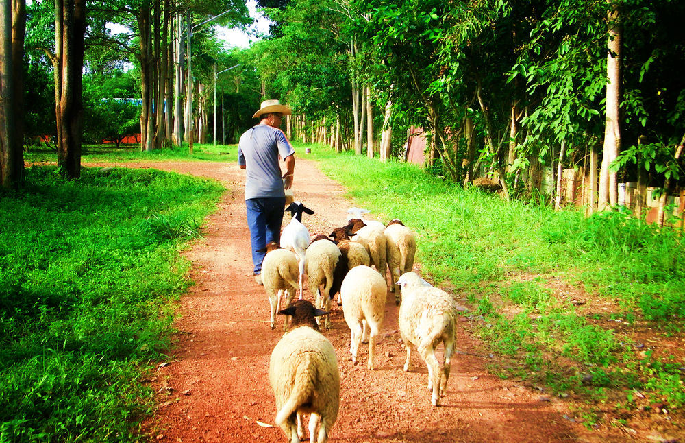 Naturalpark De Wangthong 3* Ban Nong Nok Aen