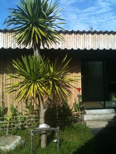 Hotel Taro And Kamala Beach