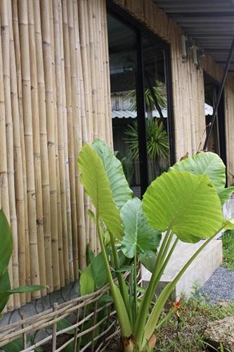 Taro And Hotel Kamala Beach