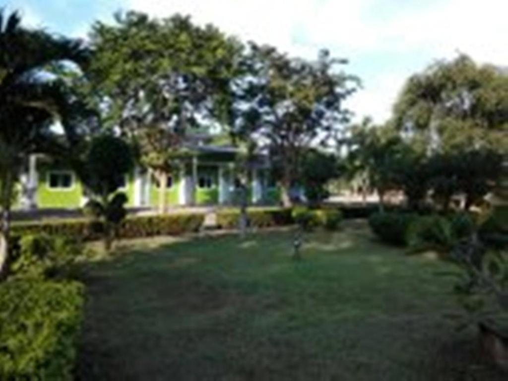 The Palm Village