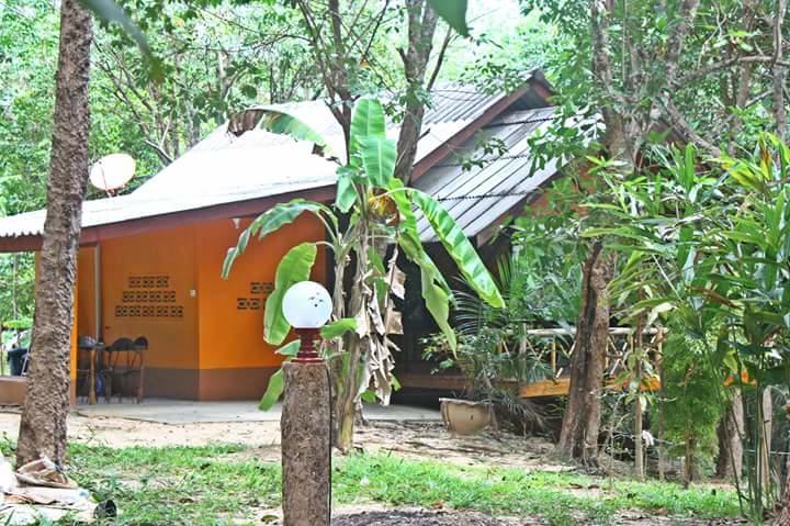 Dugong Koh Sukorn
