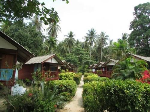 Royal Orchid 2*