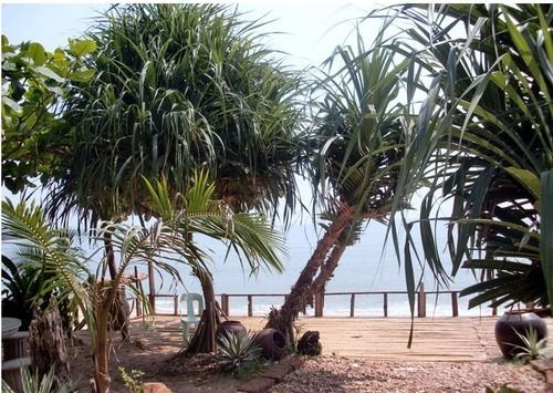 Jungle Bay 3*