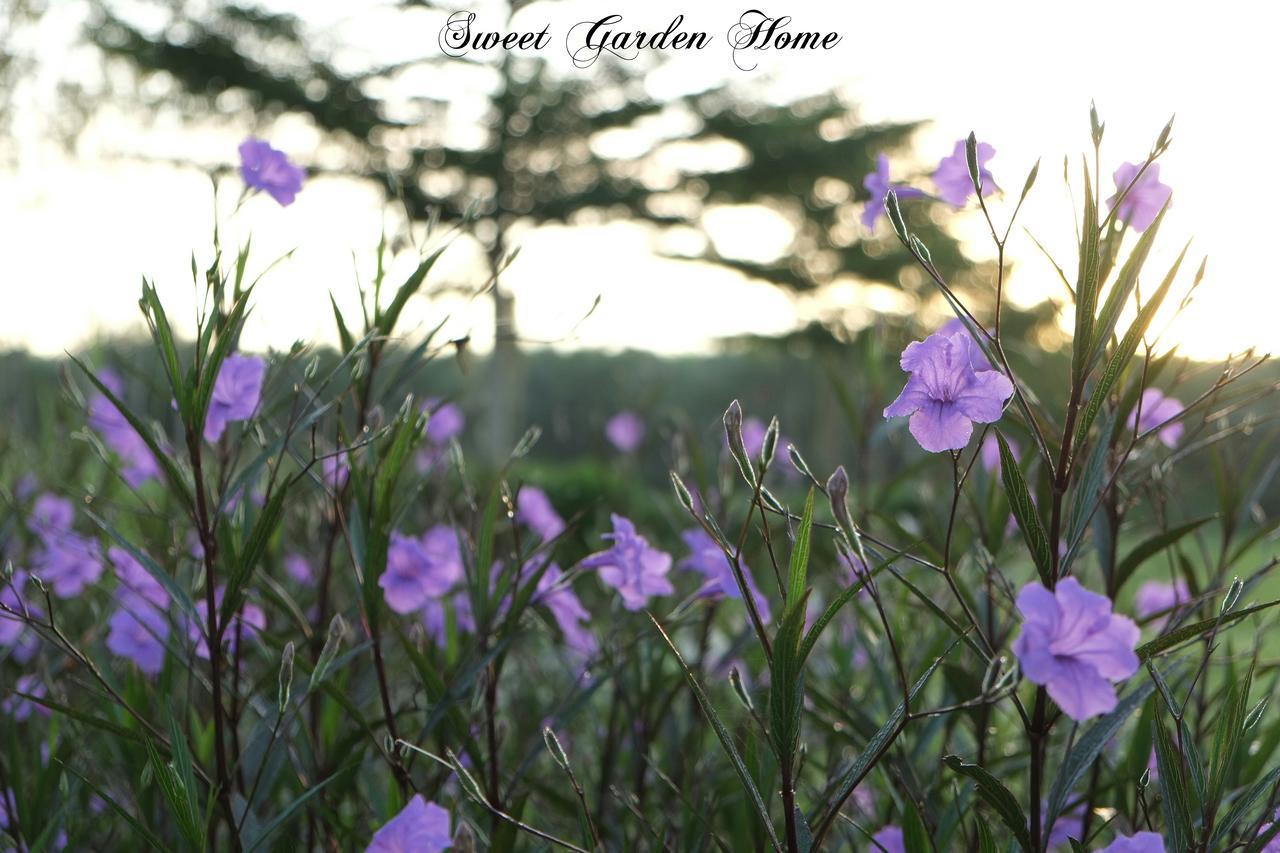 Resort Sweet Garden Home Resort Langu