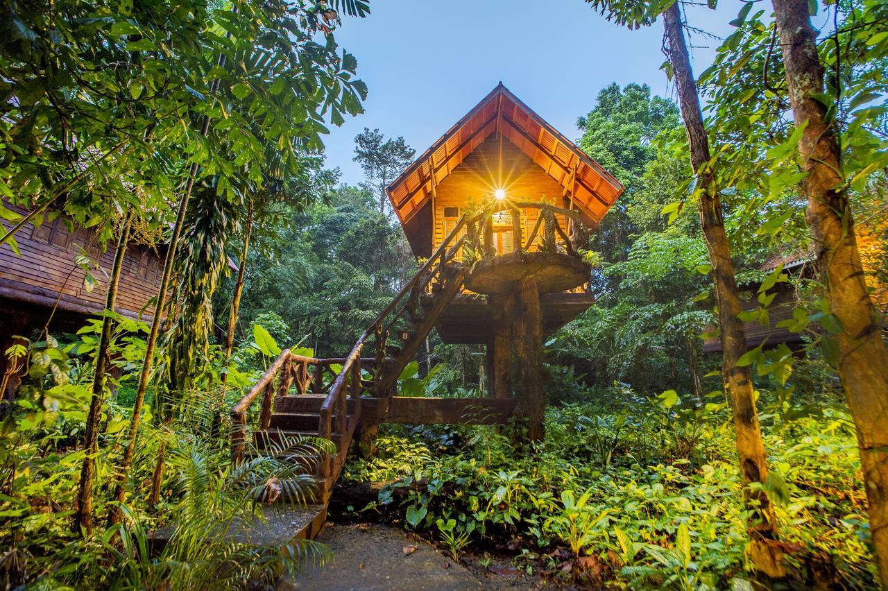 Art's Riverview Resort Khao Sok National Park
