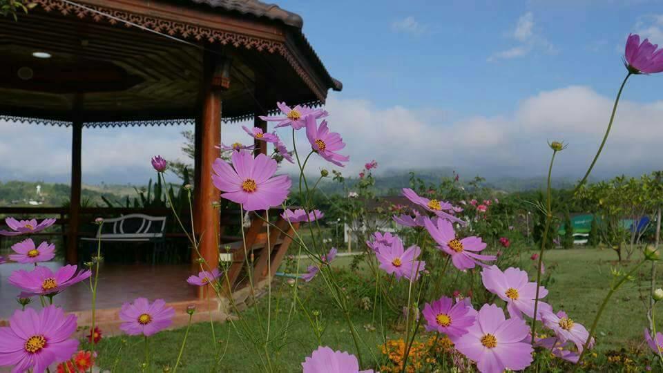 Phu Kaew Resort Pai