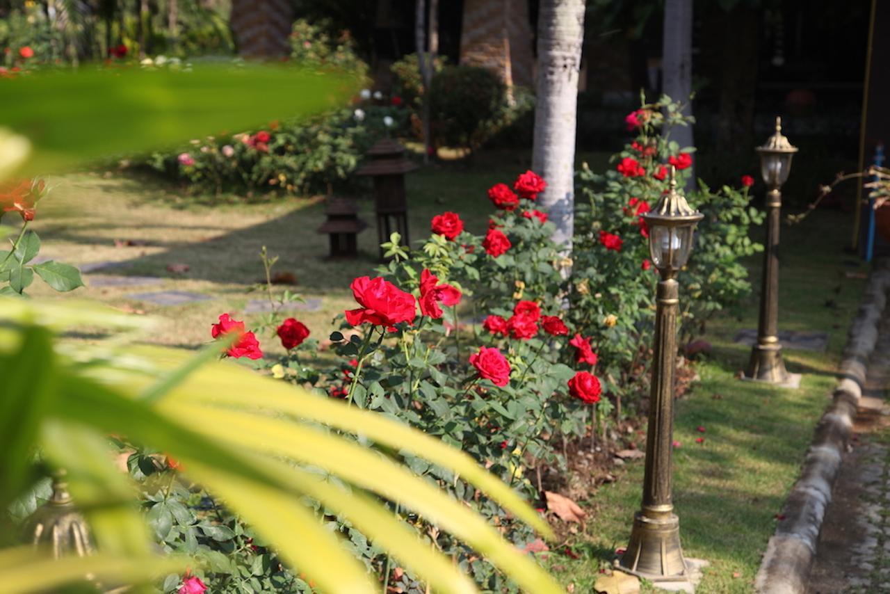 Villa Huanmei-chiangmai Private Rose *