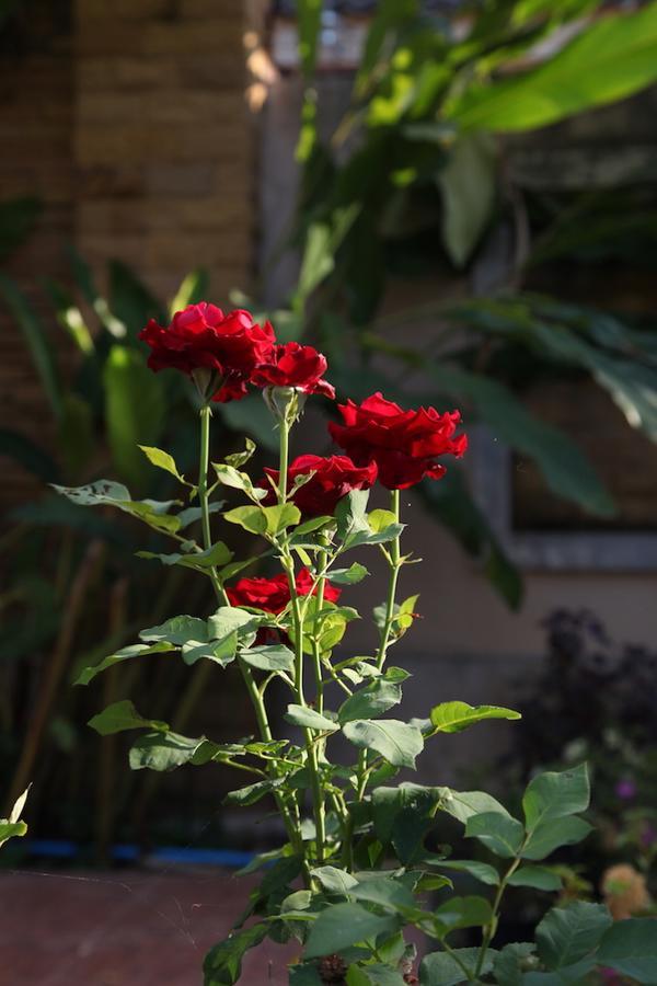 Villa Huanmei-chiangmai Private Rose San Sai