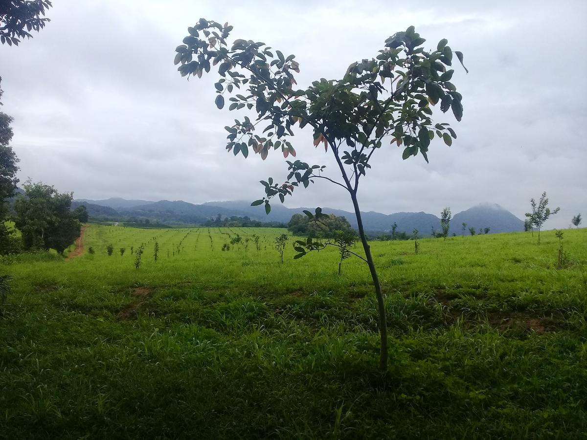 Baan Suan Jantra Chiang Rai