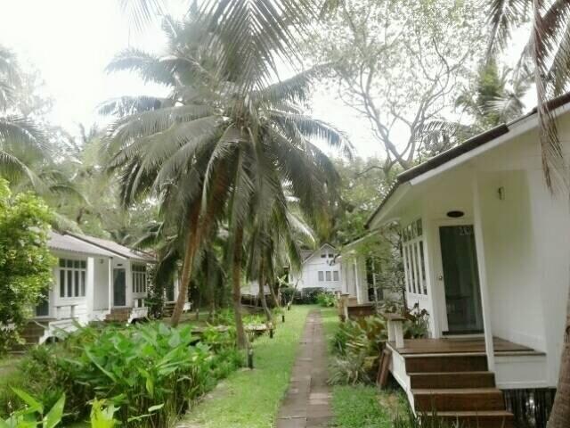 Resort Young Coconut Garden 2*