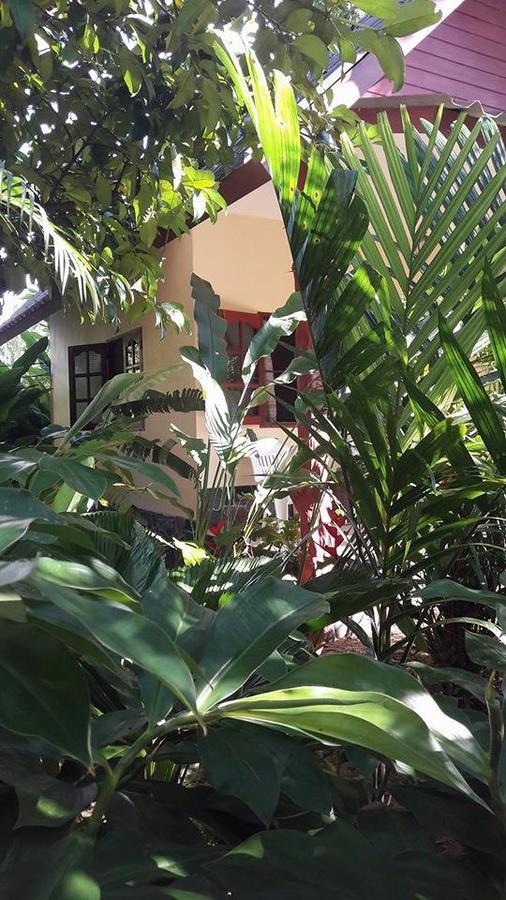 Holiday Guest house