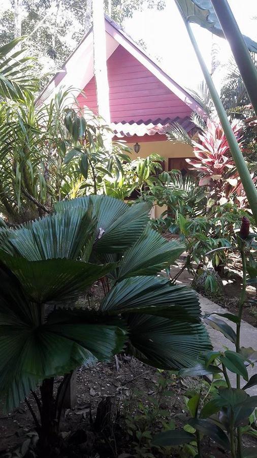 Holiday Guest house