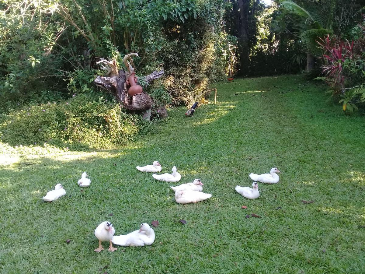 Baan Suan Jantra Chiang Rai