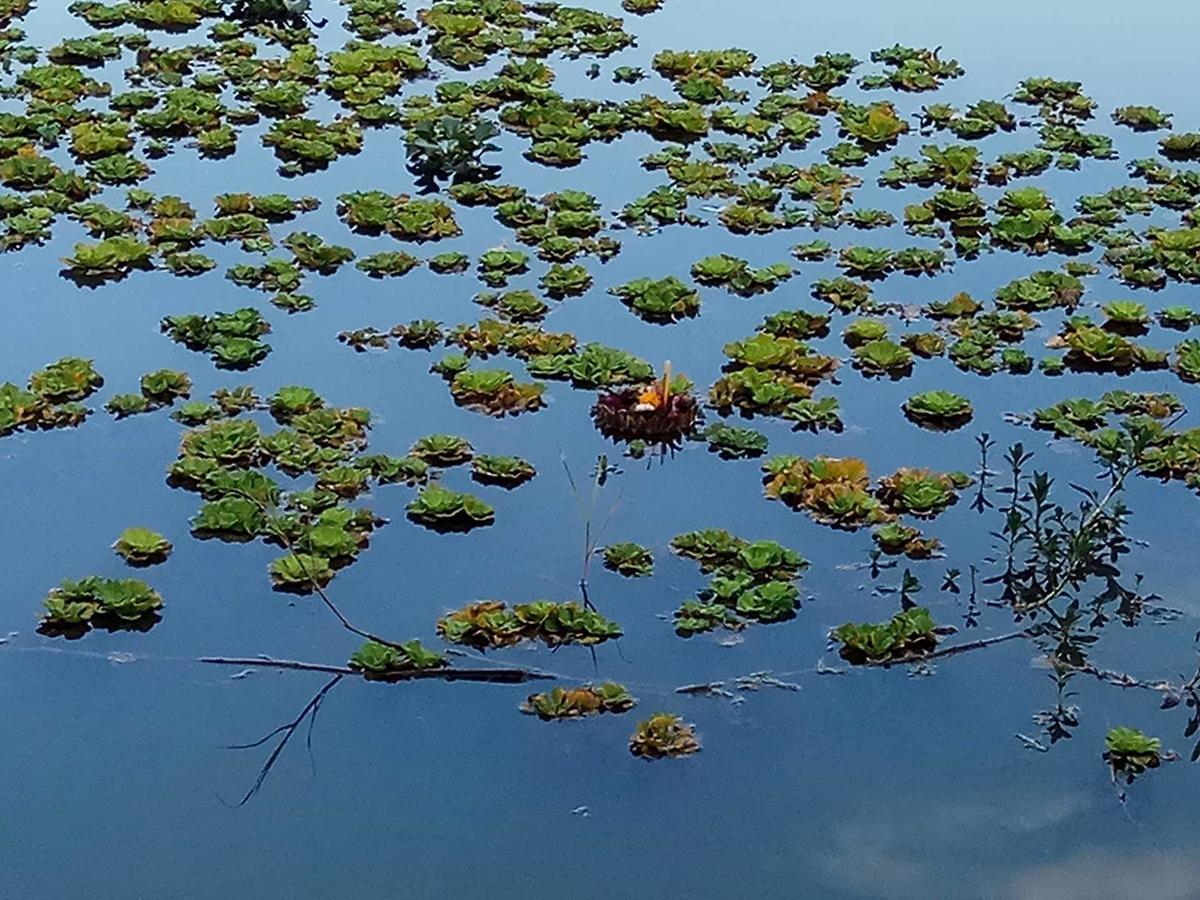 Baan Suan Jantra