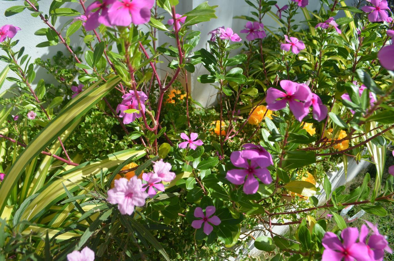 Guest house Thosawan ทศวรรณ