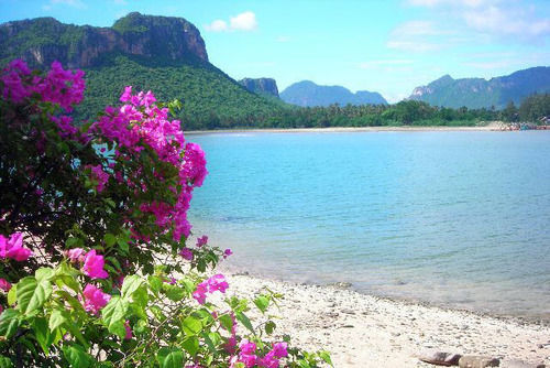 Resort Blue