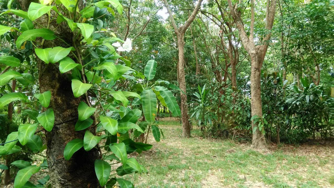 Guest house Dugong Koh Sukorn Ko Sukon