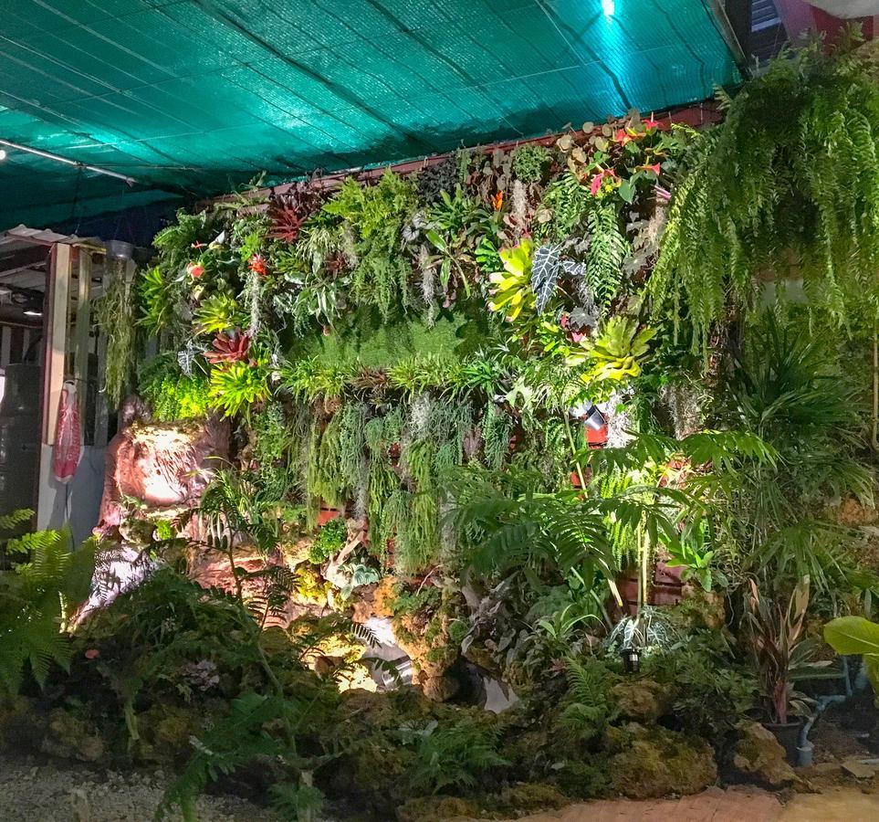 Guest house Bann Ton Kho *