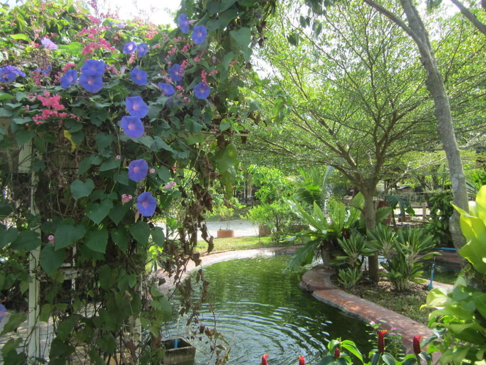 Hotel Cowboy Farm Pattaya 3*