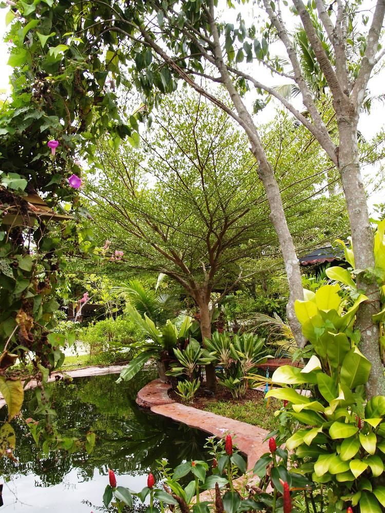 Cowboy Farm Pattaya