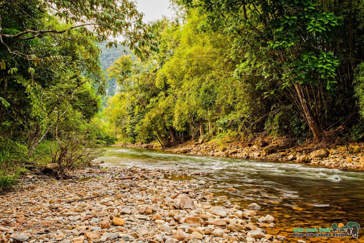 Khao Sok 2*