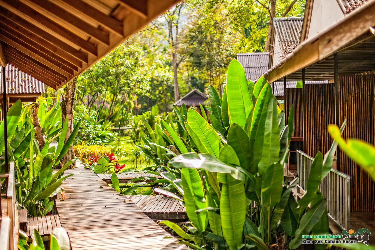 Resort Khao Sok