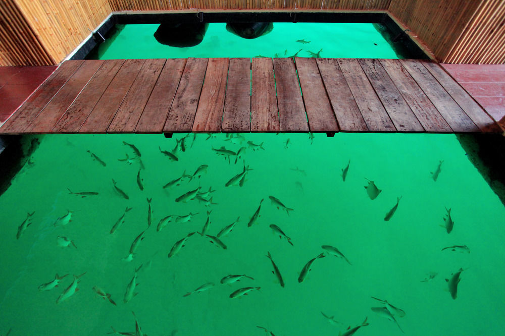 500 Rai Floating Ban Chieo Ko