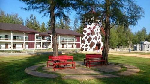 The Pine Hotel