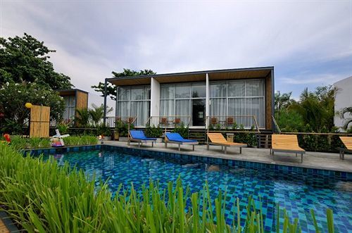 Lg Lemon Grass 3*