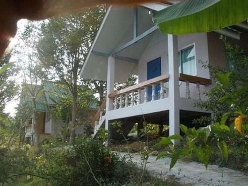 Coconut Garden 2*