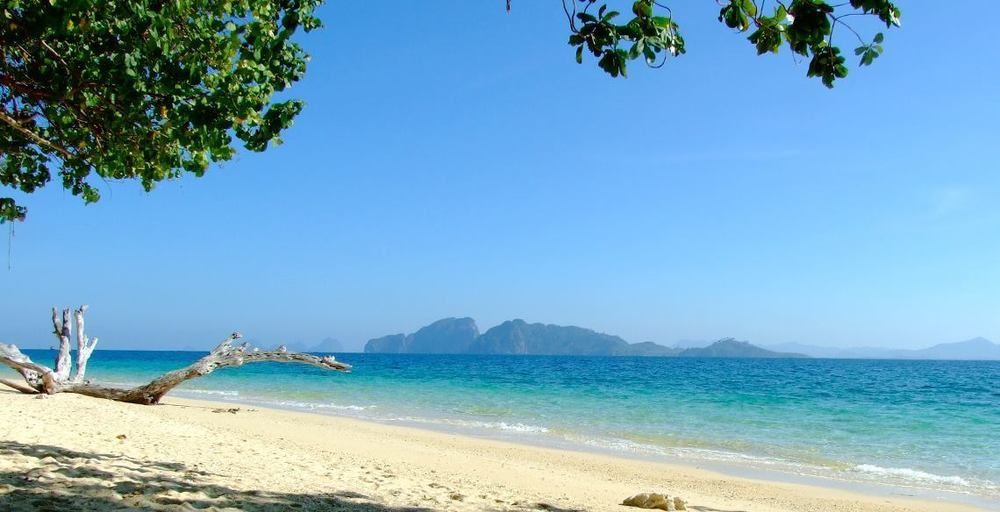 Resort Coral Garden 4*